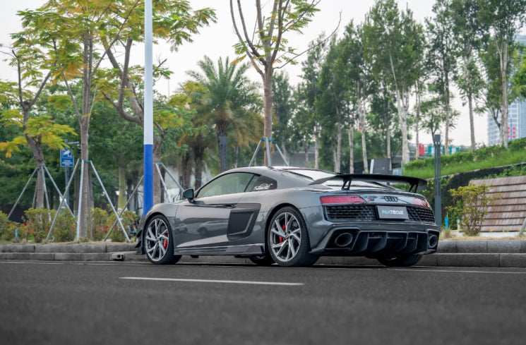 Paktechz Dry Carbon Fiber Side Blades - Audi R8 Gen2