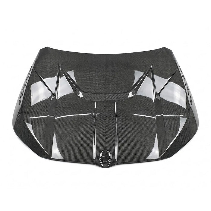 2023+ BMW XM LD Style Carbon Fiber Hood | G09
