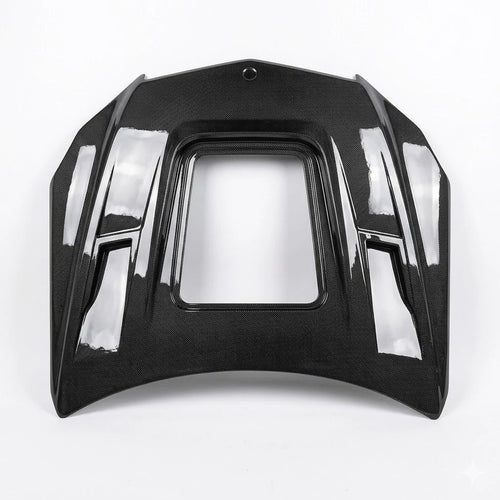 2010-2013 Mercedes E-Class Glass Engine Cover Carbon Fiber Hood | W207/A207/C207